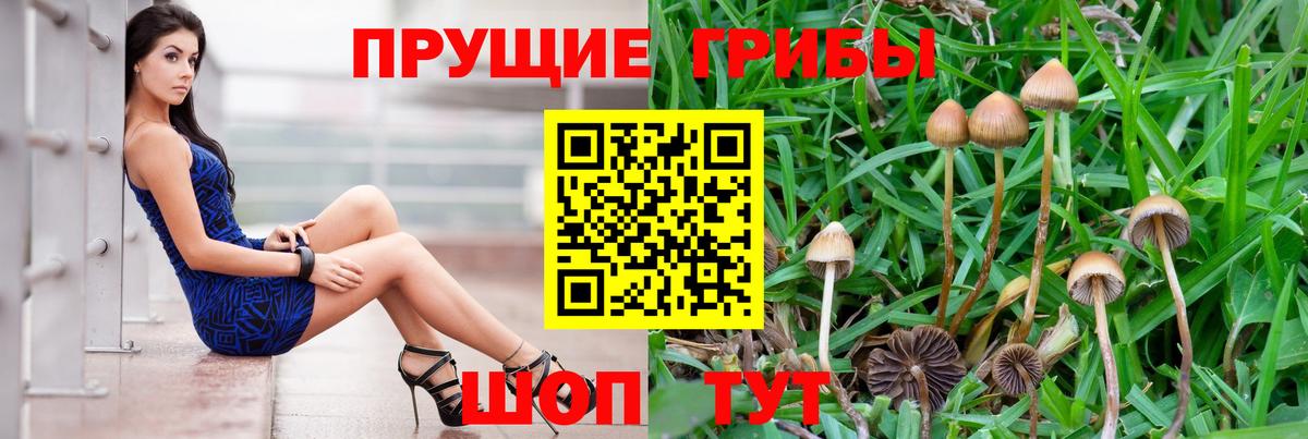 Асбест  цена наркотик  Вход с VPN  Псилоцибиновые грибы мицелий 