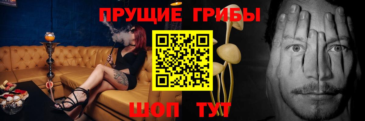 Псилоцибиновые грибы прущие грибы Асбест